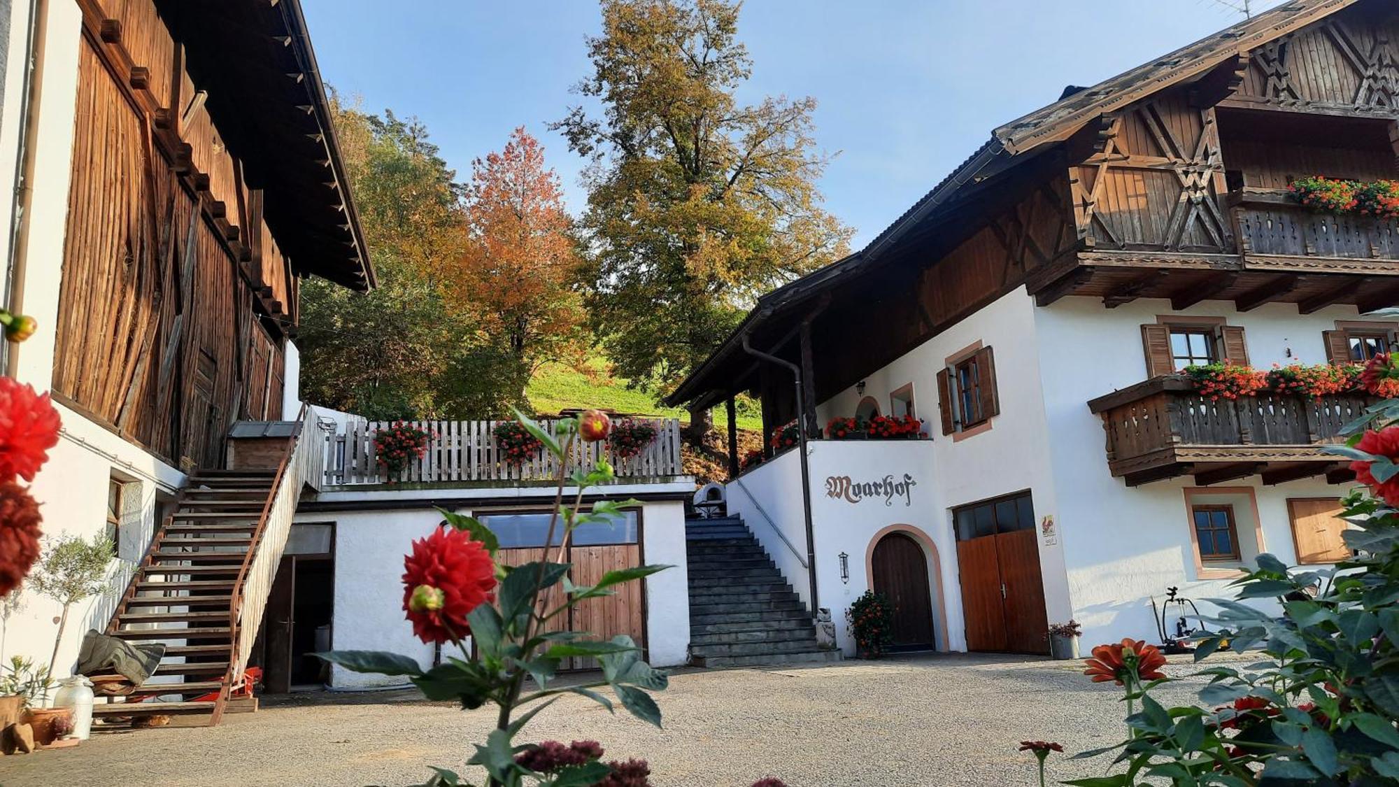 Moarhof Gufidaun Apartment Chiusa Exterior foto